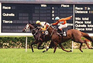 horse racing use systembase digital codecs